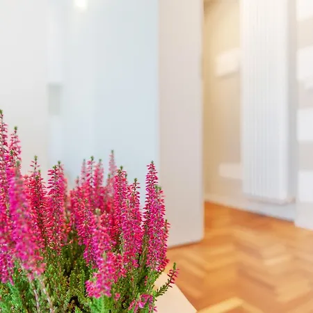 Apartment In The Heart Of *